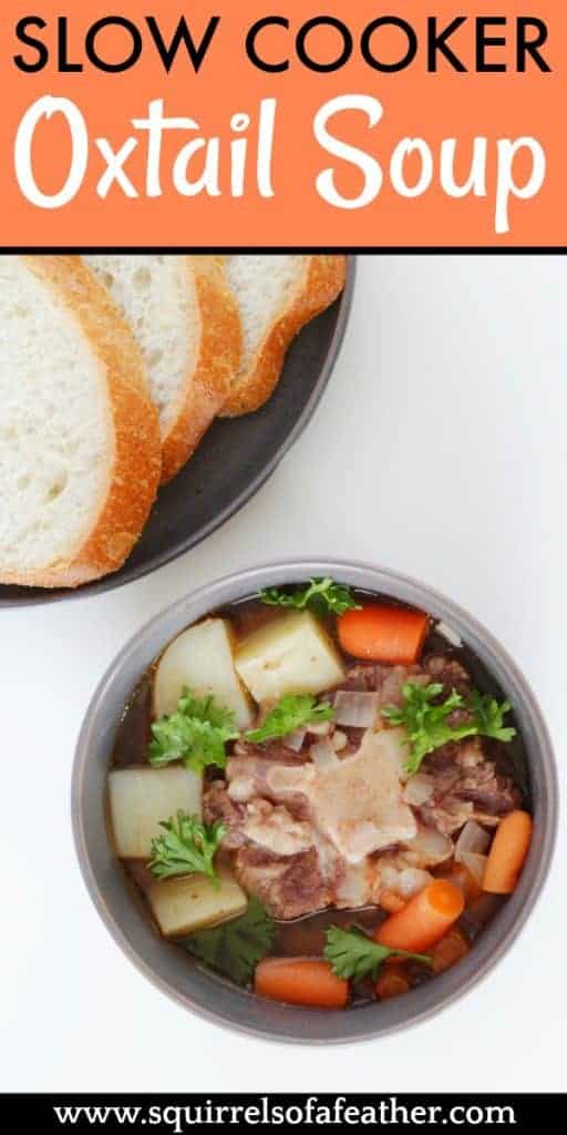 This Simple Slow Cooker Oxtail Soup is Hearty and Tender!