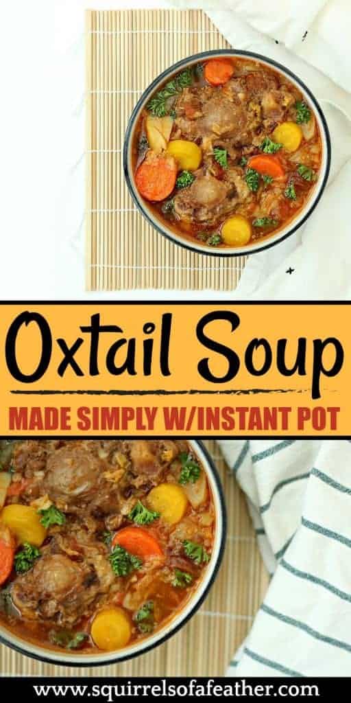 Instant Pot Oxtail Soup (Easy Pressure Cooker Recipe)